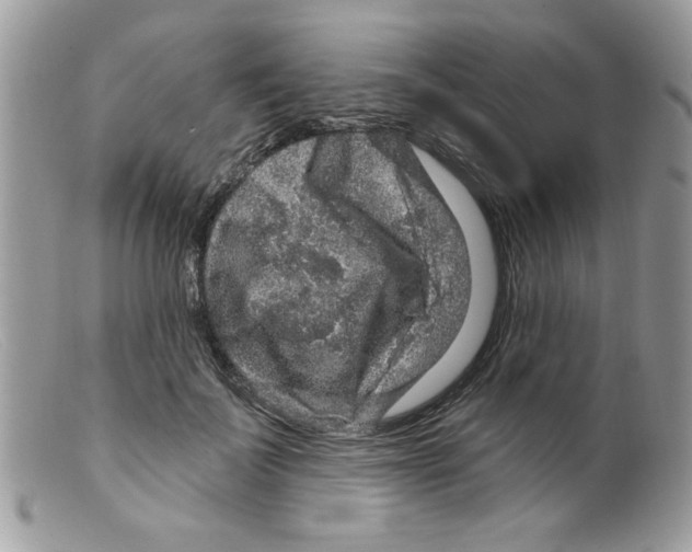 X0000098150699200805151205