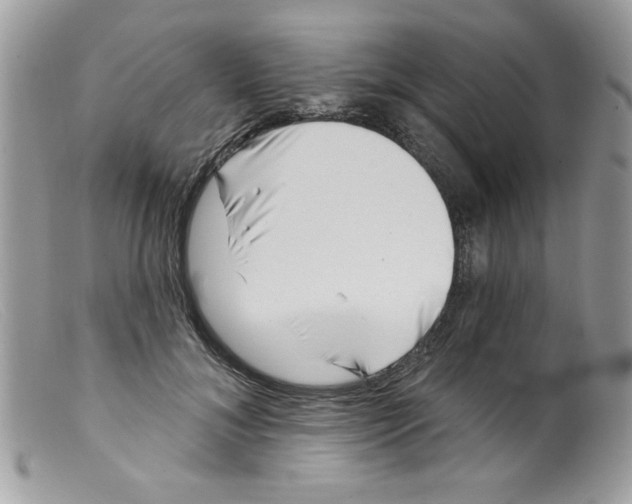 X0000098150700200805151205