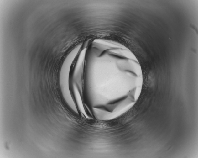 X0000098150704200805151205