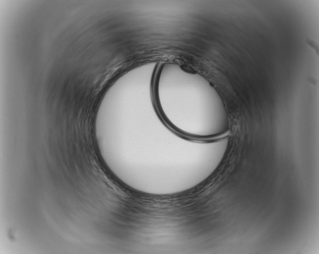 X0000098150708200805151205