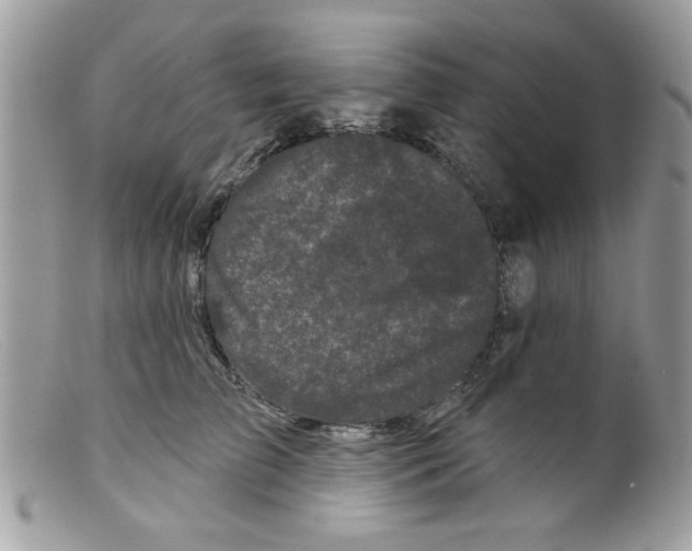 X0000098150709200805151205