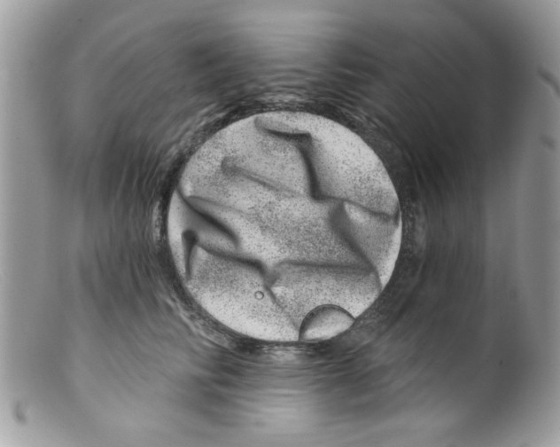 X0000098150710200805151205