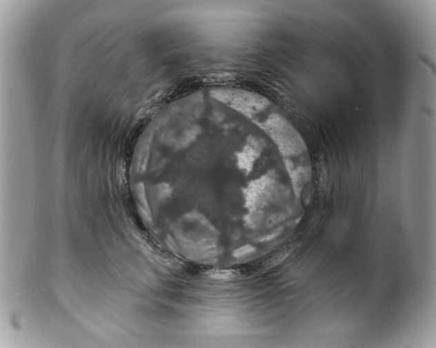 X0000098150711200805151205