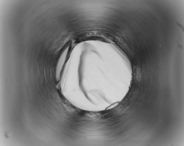 X0000098150712200805151205