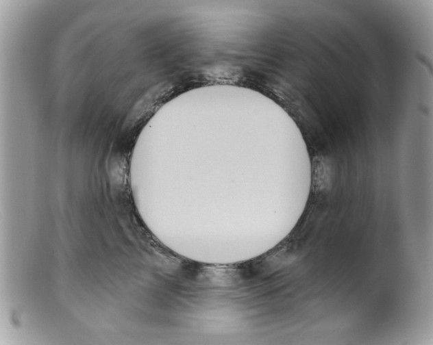 X0000098150713200805151205