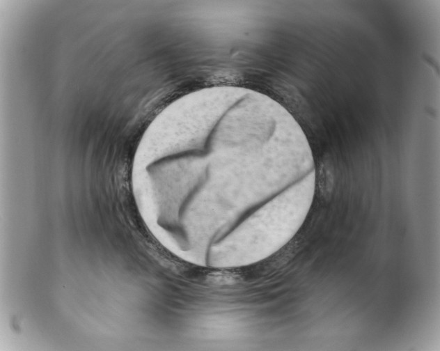 X0000098150714200805151205