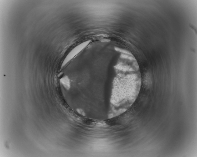 X0000098150715200805151205