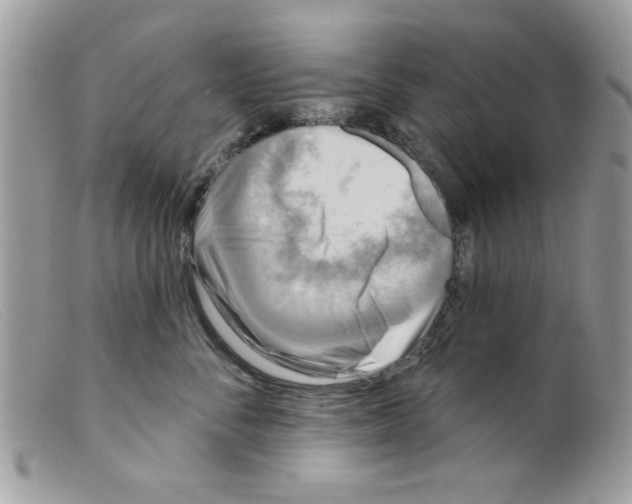 X0000098150716200805151205