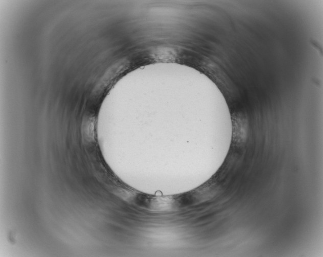 X0000098150717200805151205