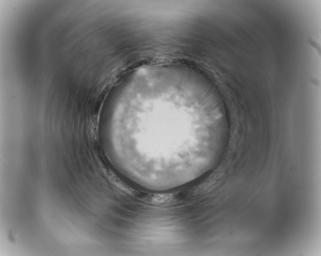 X0000098150720200805151205