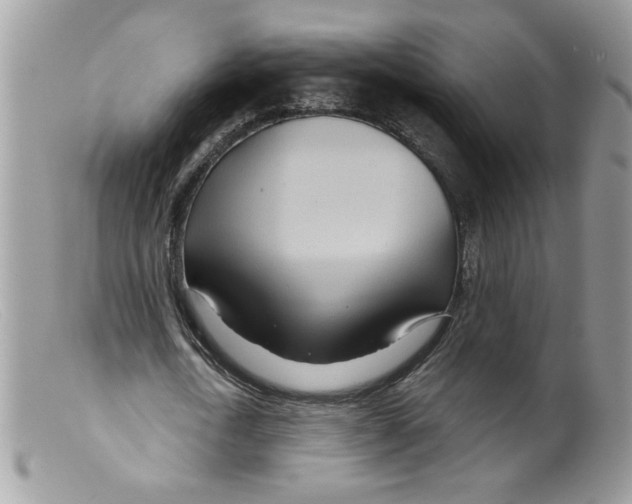 X0000098150722200805151204