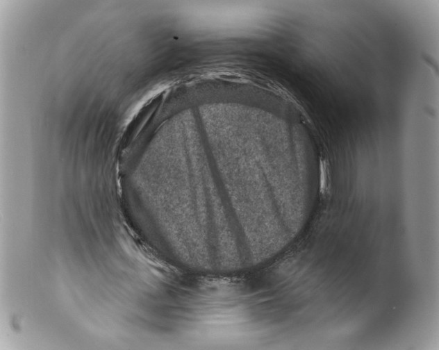 X0000098150723200805151204