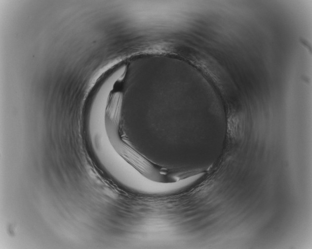 X0000098150724200805151204