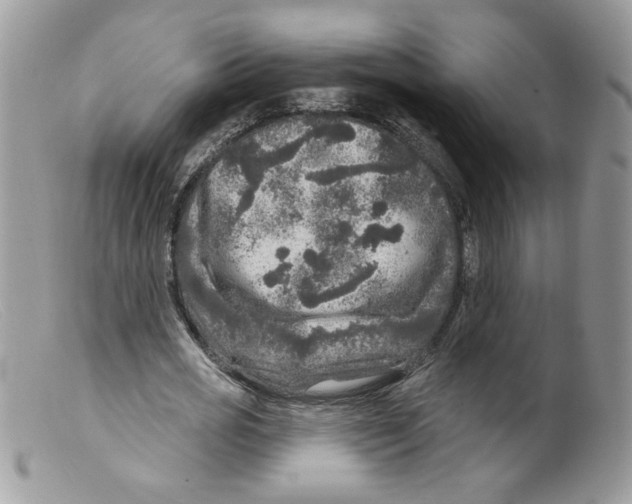 X0000098150725200805151204