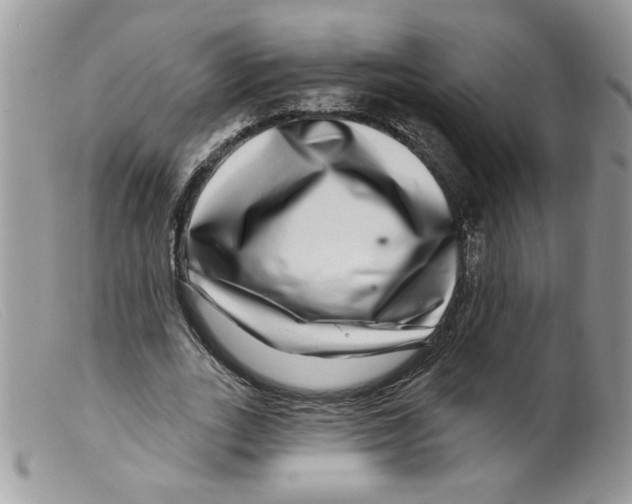 X0000098150727200805151204