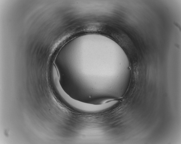 X0000098150728200805151204