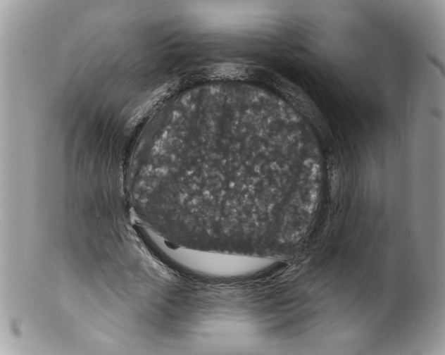 X0000098150729200805151204
