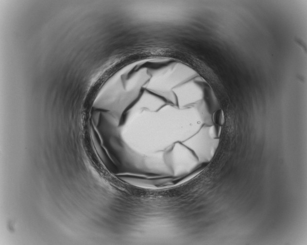 X0000098150730200805151204