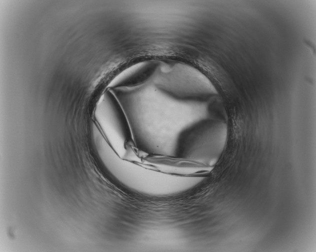 X0000098150731200805151204