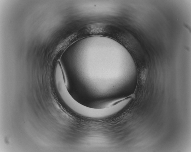 X0000098150732200805151204