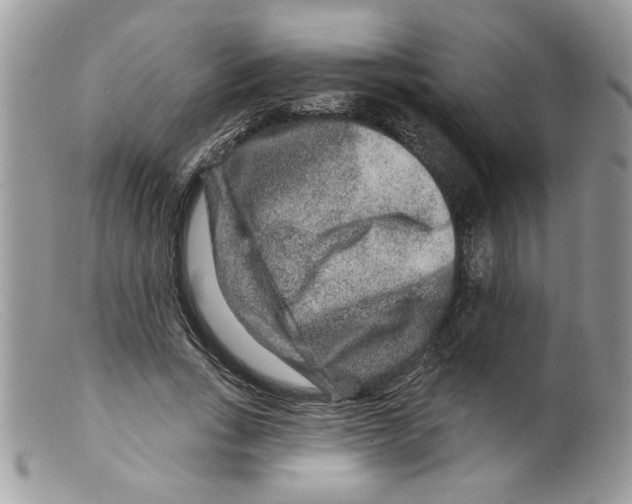 X0000098150735200805151204