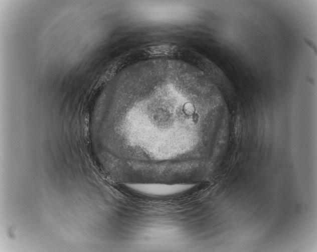 X0000098150737200805151204