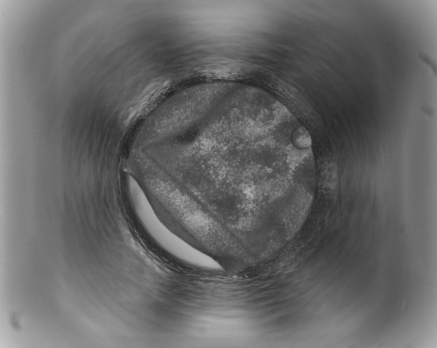 X0000098150738200805151204