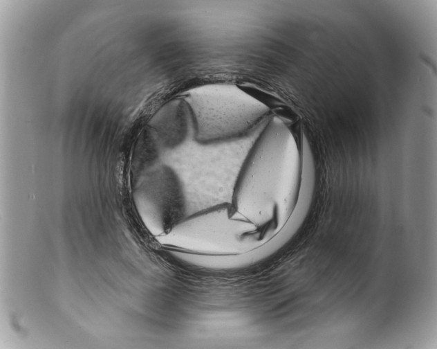 X0000098150739200805151204