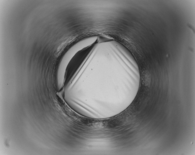 X0000098150740200805151204
