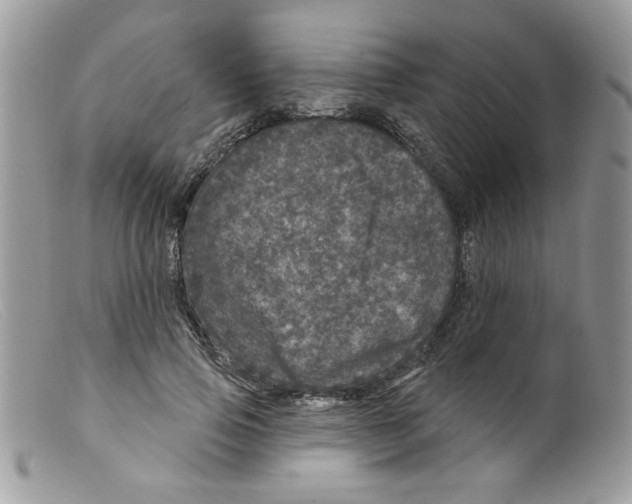 X0000098150741200805151204