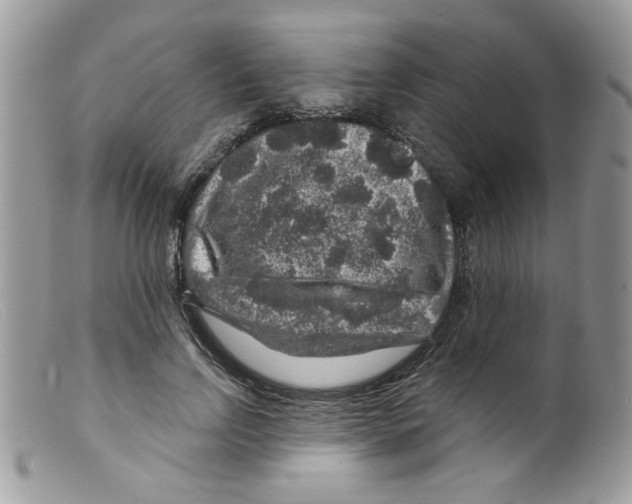 X0000098150742200805151204