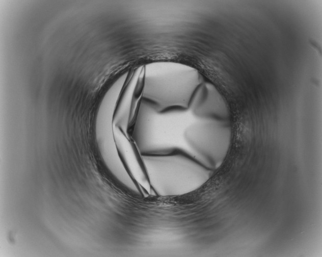 X0000098150743200805151204