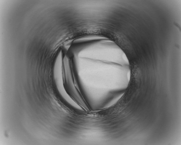 X0000098150744200805151204