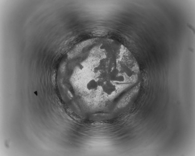 X0000098150745200805151204