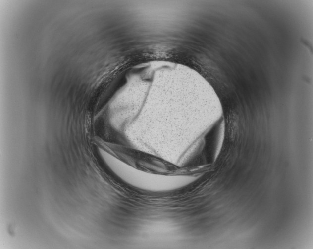 X0000098150747200805151204
