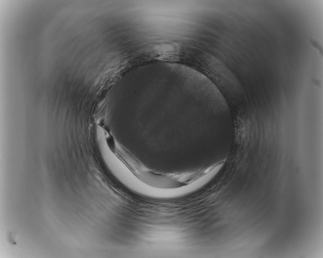 X0000098150748200805151204