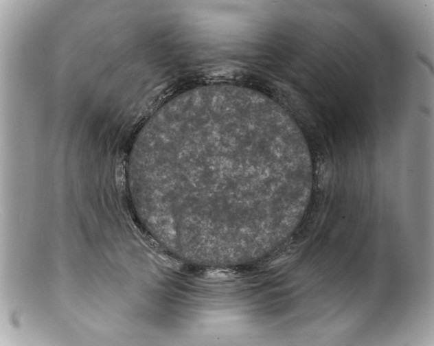 X0000098150753200805151204