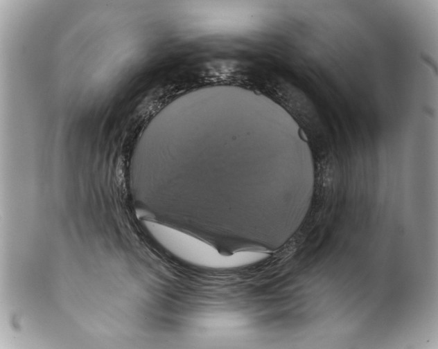 X0000098150754200805151204