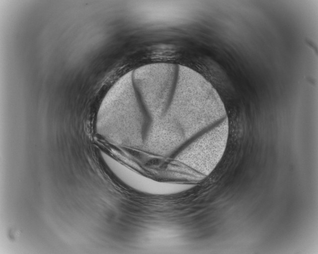X0000098150755200805151204