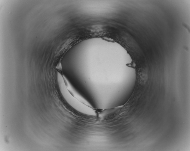 X0000098150756200805151204
