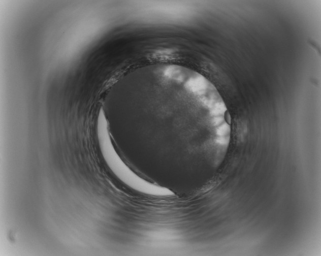 X0000098150760200805151205