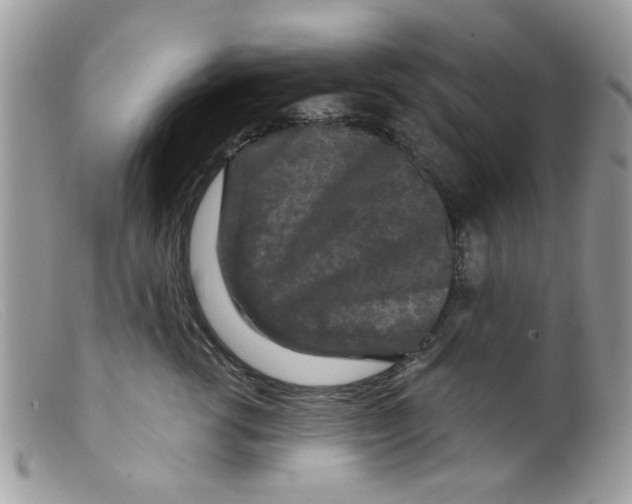 X0000098150762200805151205