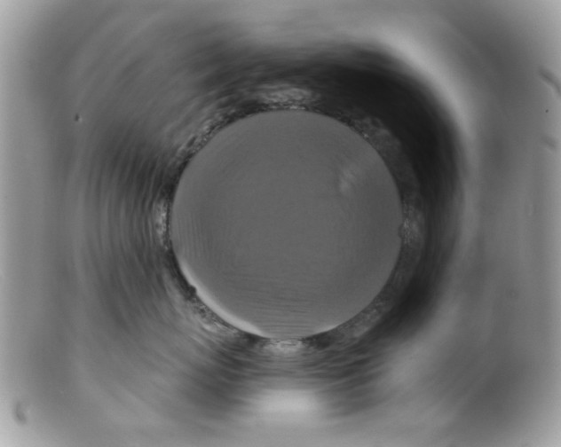 X0000098150767200805151205