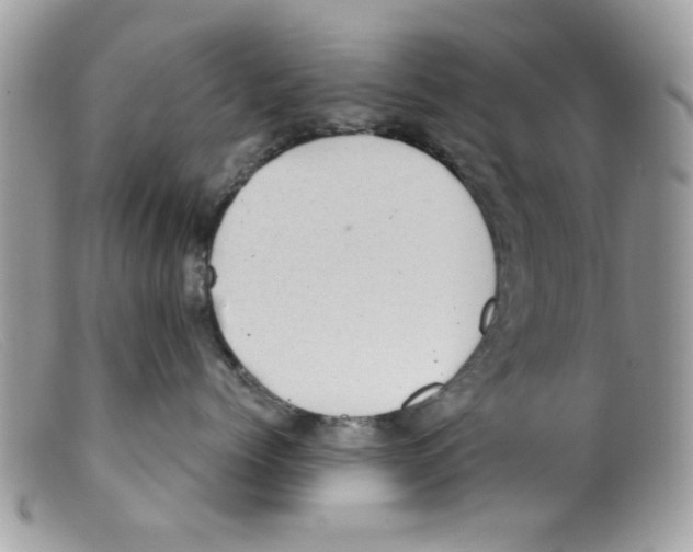 X0000098150768200805151205
