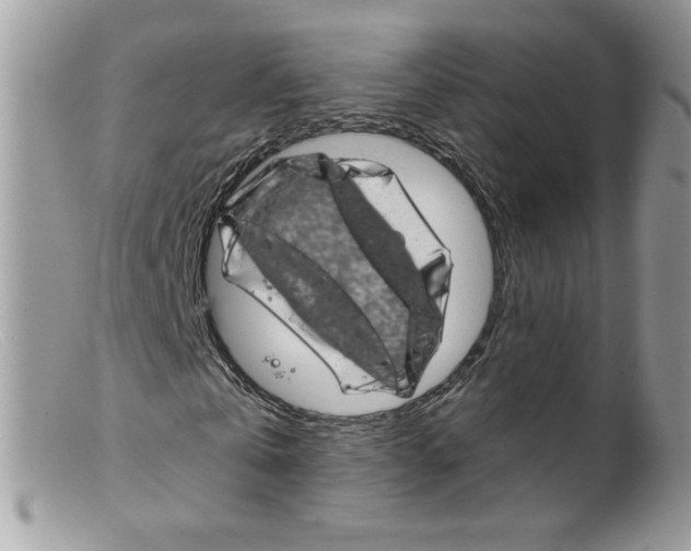 X0000098150769200805151204