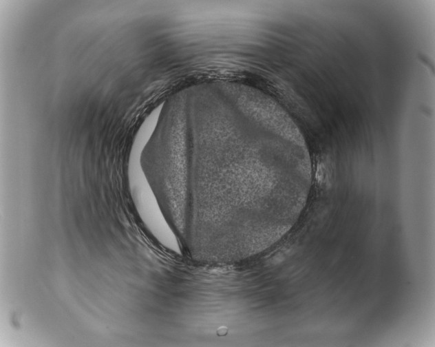X0000098150771200805151204