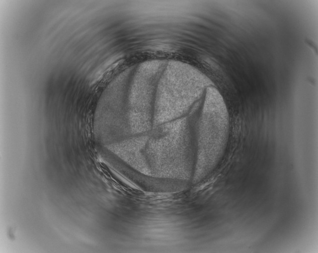 X0000098150774200805151204