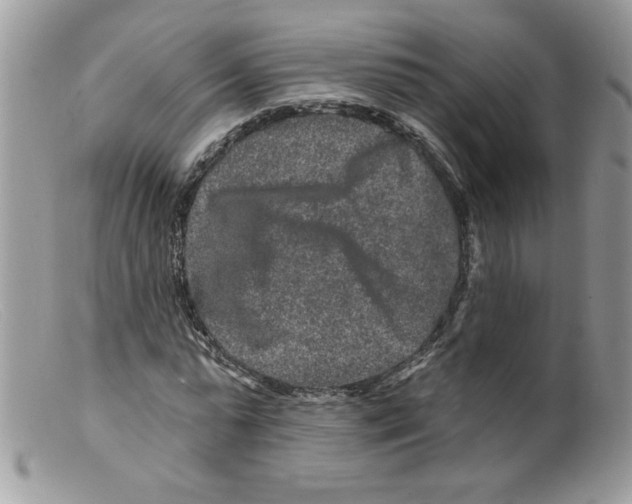 X0000098150775200805151204