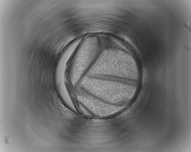 X0000098150777200805151204