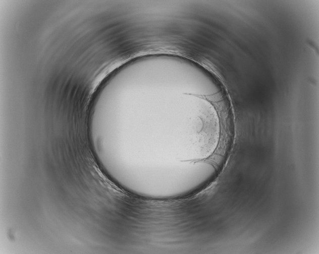 X0000098150781200805151204